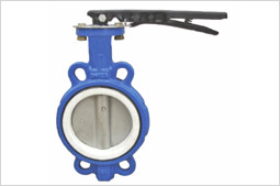 Heavy duty Butterfly Valve