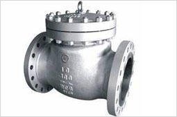 Swing check Valve